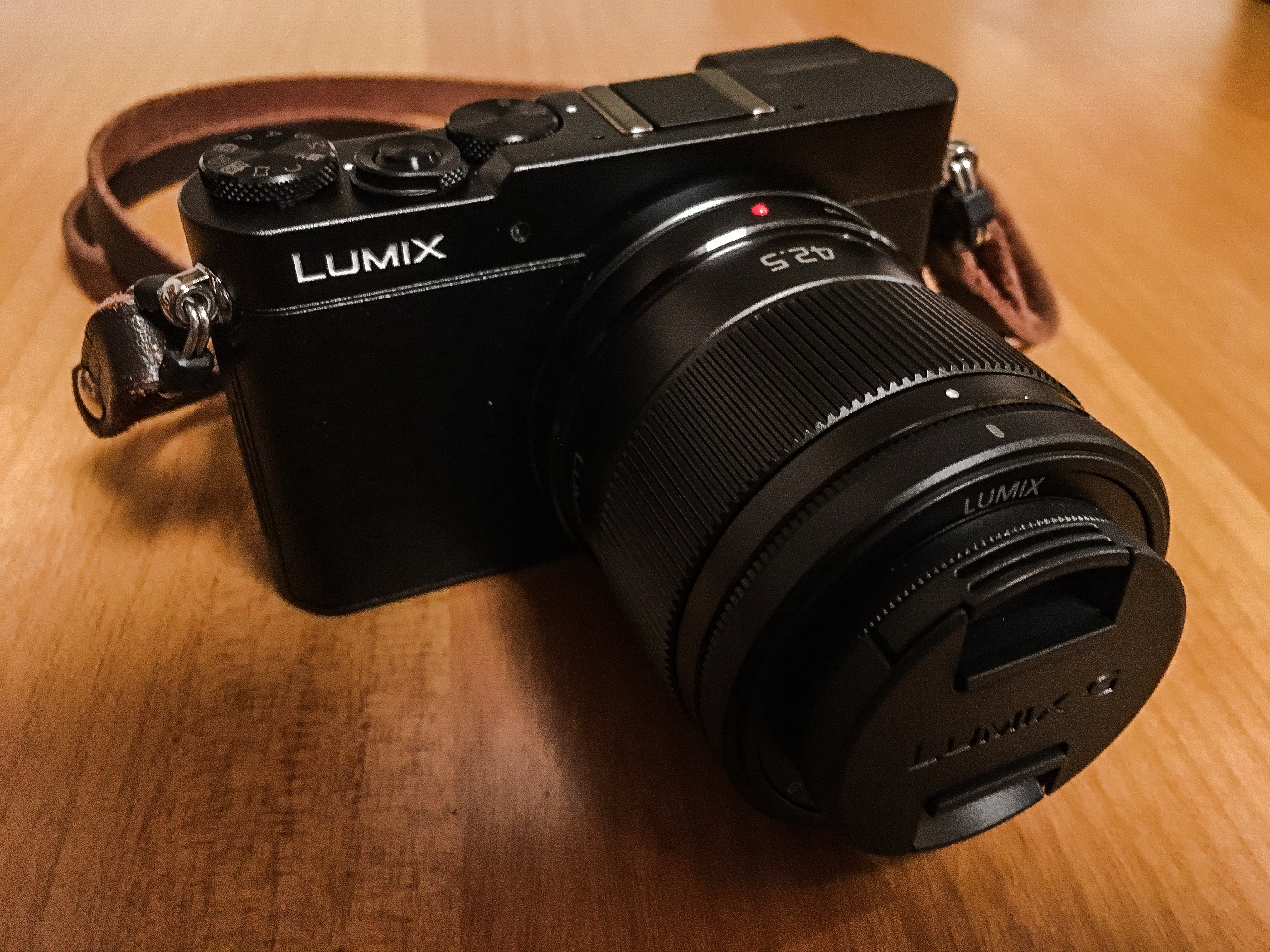 Panasonic  LUMIX GM5 オーダーメイド カメラジャケット付き